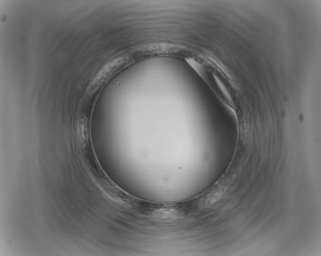 X0000078830119200611271307