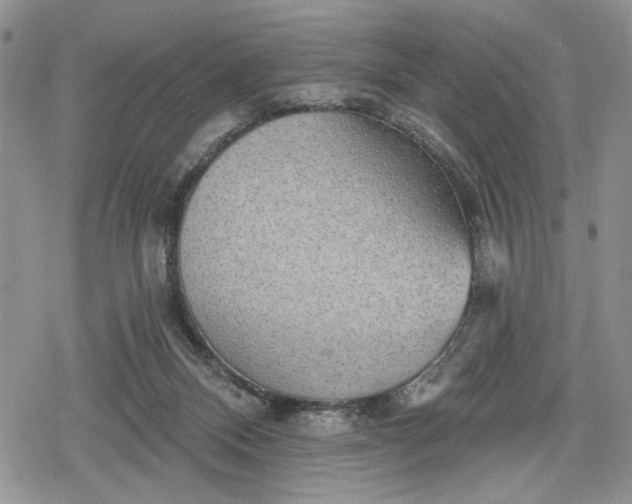 X0000078830120200611271307