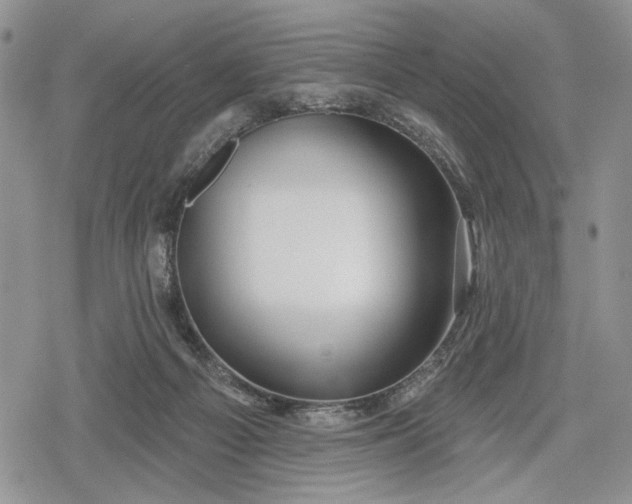 X0000078830121200611271307