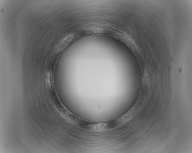 X0000078830122200611271306