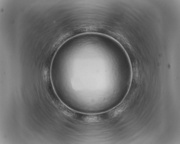 X0000078830123200611271306