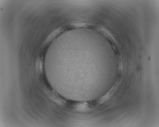 X0000078830124200611271306