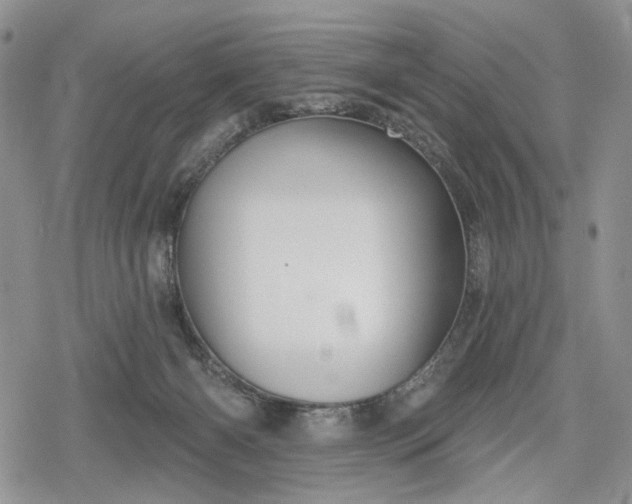 X0000078830126200611271306