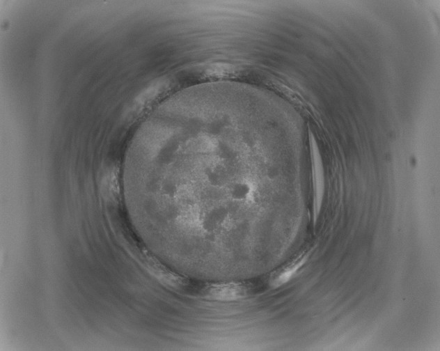 X0000078830127200611271306