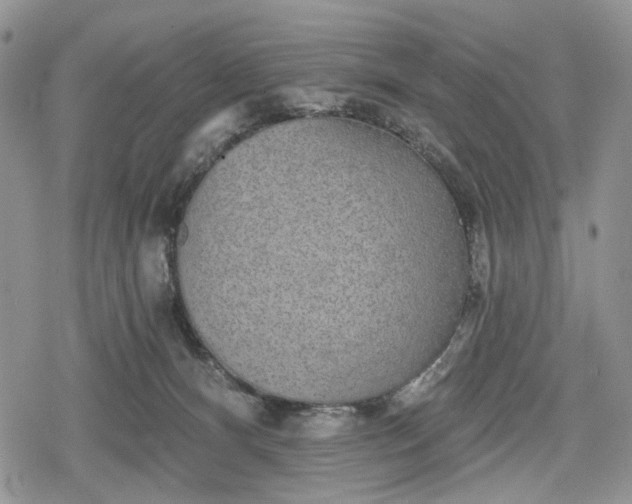 X0000078830128200611271306