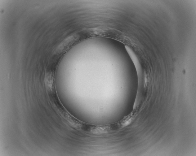 X0000078830129200611271306