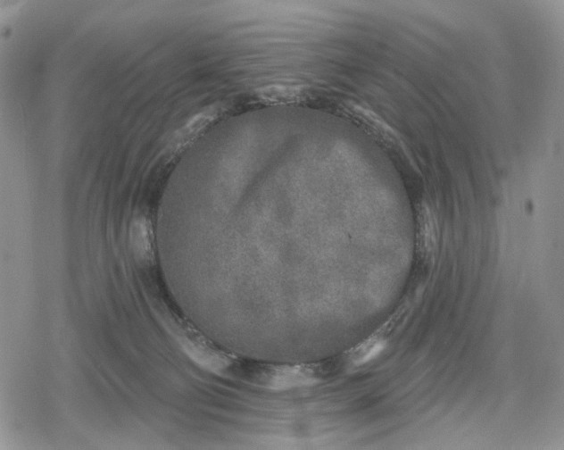 X0000078830130200611271306