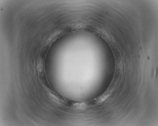 X0000078830133200611271306