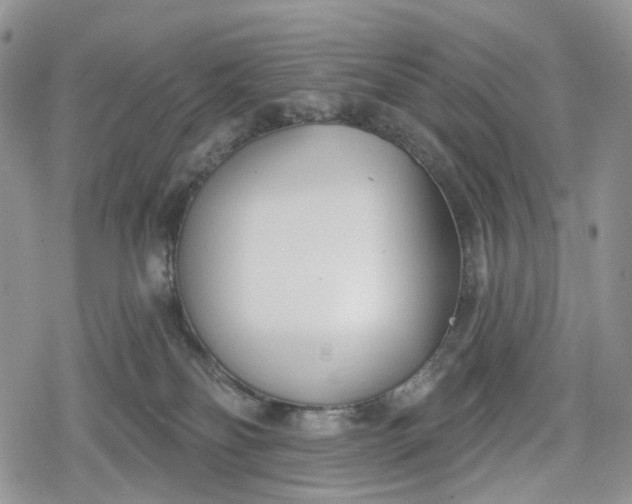 X0000078830134200611271306