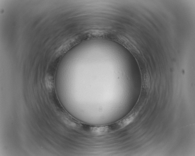 X0000078830135200611271306