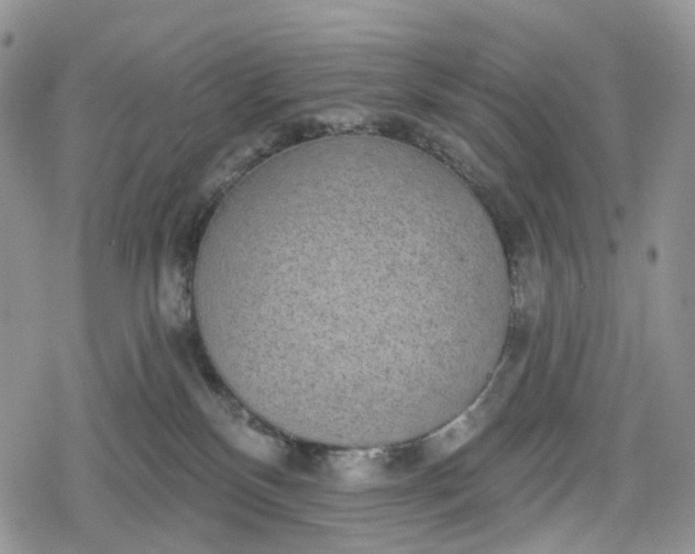 X0000078830136200611271306