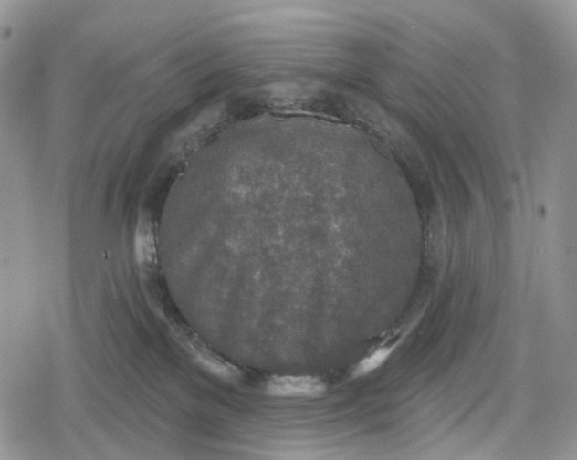 X0000078830137200611271306