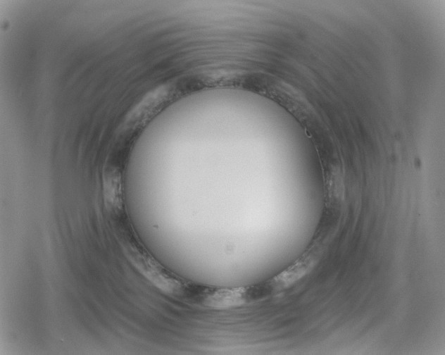 X0000078830138200611271306