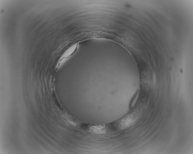 X0000078830139200611271306