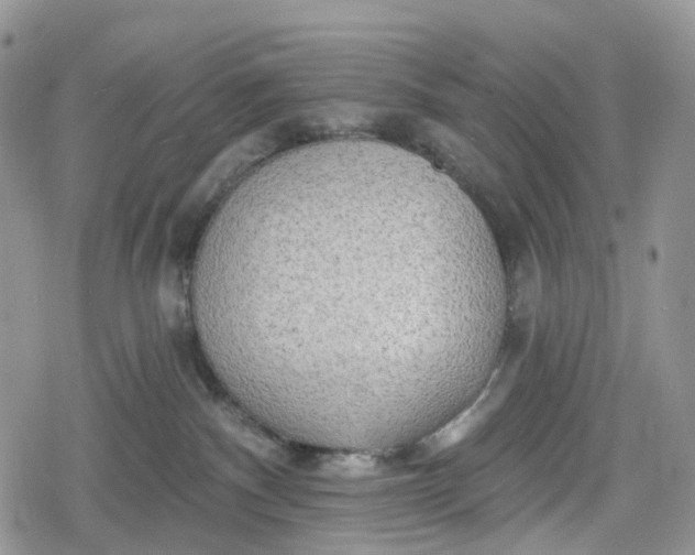 X0000078830140200611271306