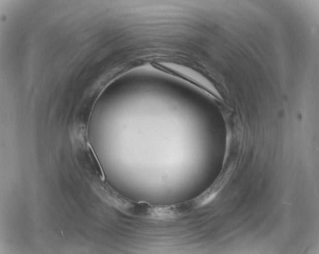 X0000078830141200611271306