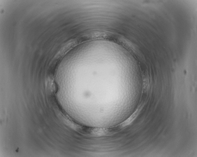 X0000078830142200611271306