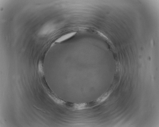 X0000078830143200611271306