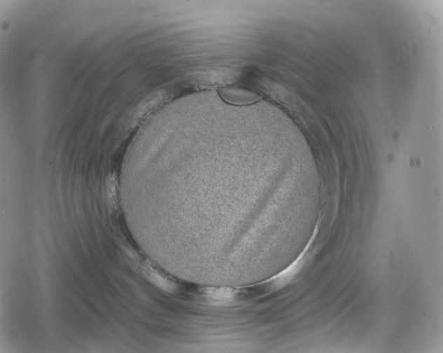 X0000078830144200611271306