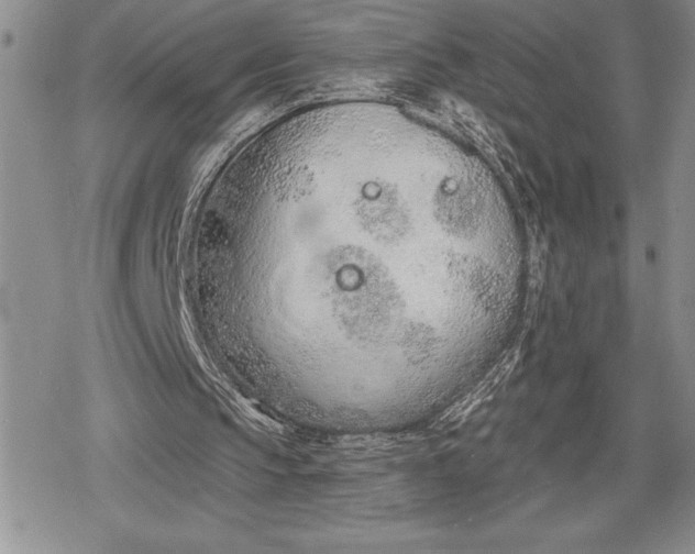 X0000078830145200611271305