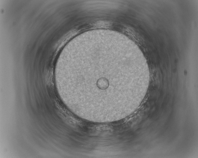 X0000078830146200611271305