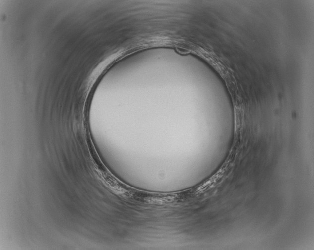 X0000078830147200611271305