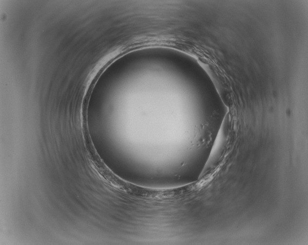 X0000078830148200611271305