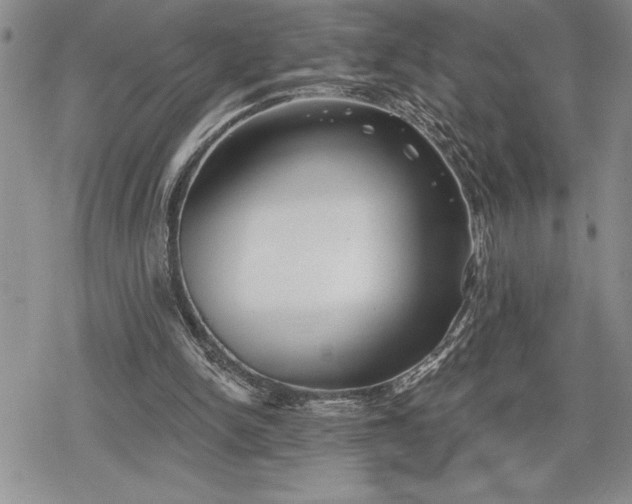 X0000078830150200611271305