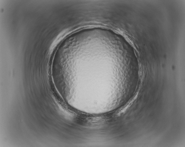 X0000078830151200611271305