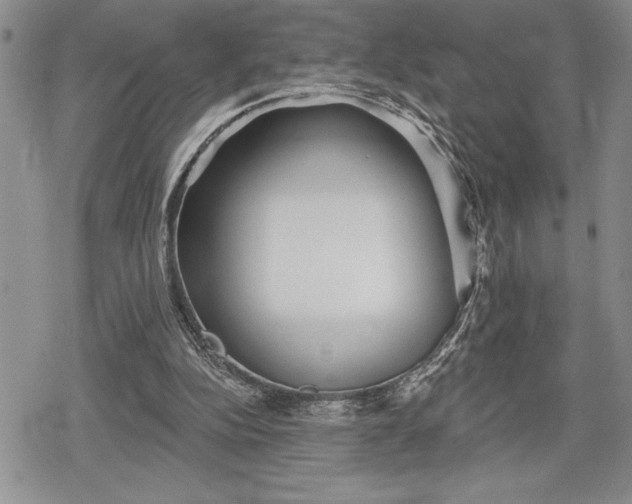 X0000078830152200611271305