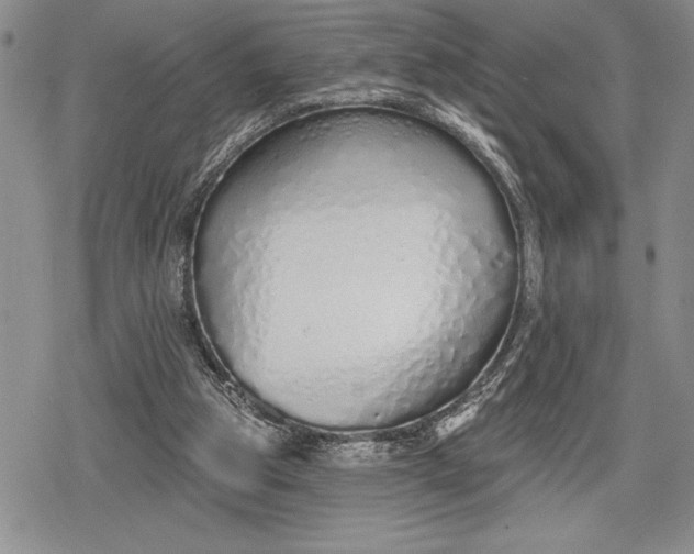 X0000078830153200611271305