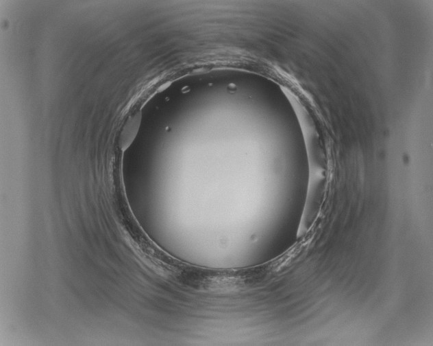 X0000078830154200611271306