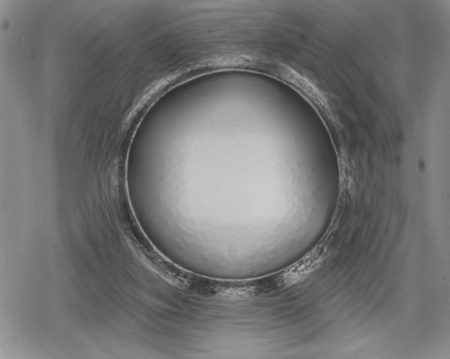 X0000078830155200611271306