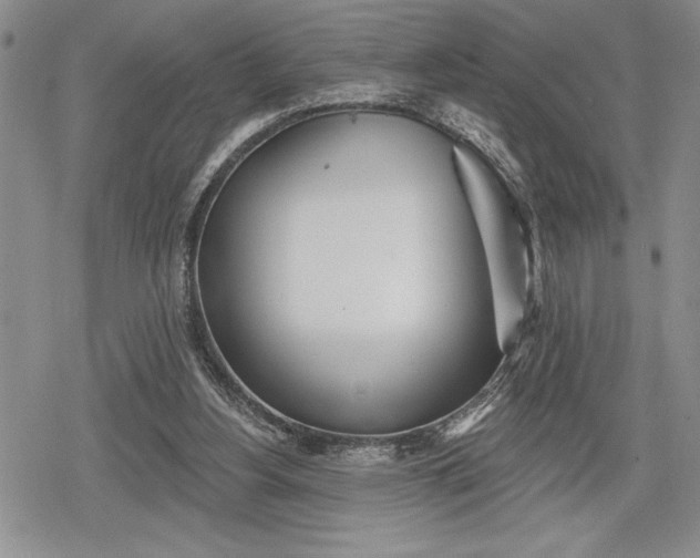 X0000078830156200611271306