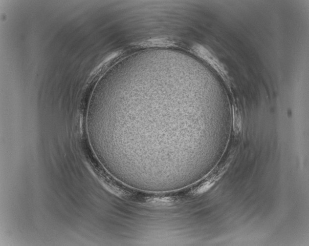 X0000078830157200611271306