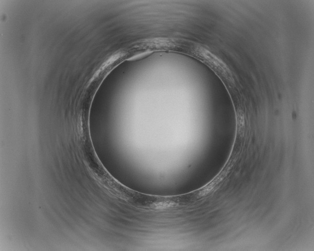 X0000078830158200611271306