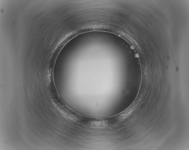 X0000078830160200611271306