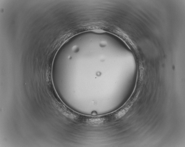 X0000078830161200611271306