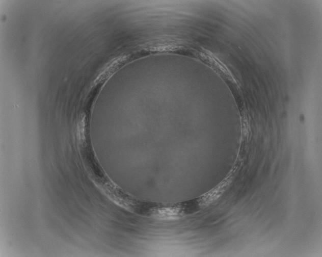 X0000078830163200611271306