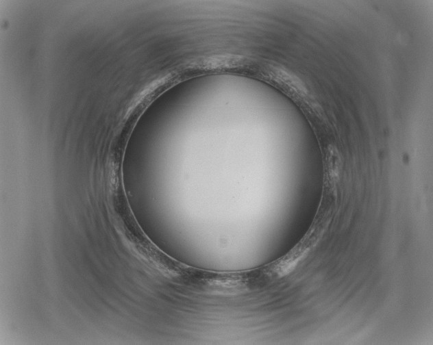 X0000078830164200611271306