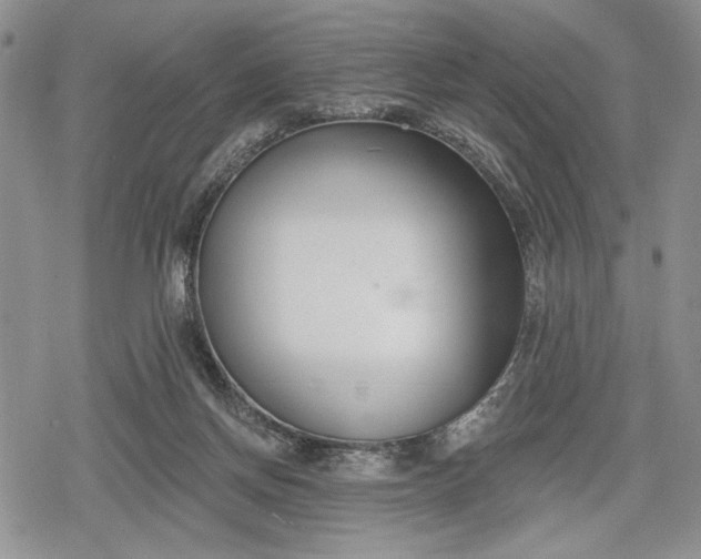 X0000078830166200611271306