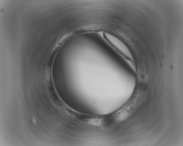 X0000078830168200611271306