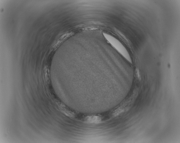 X0000078830169200611271306