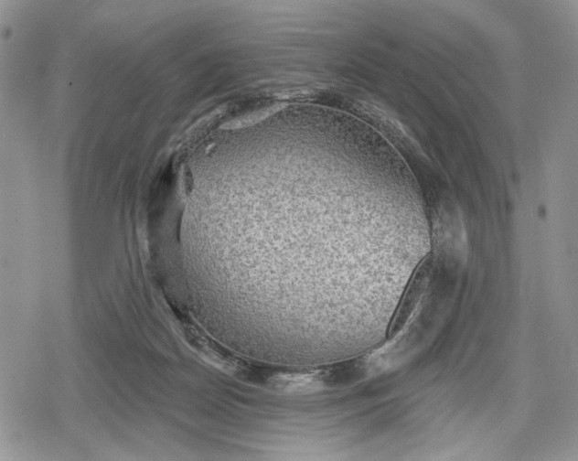 X0000078830170200611271306