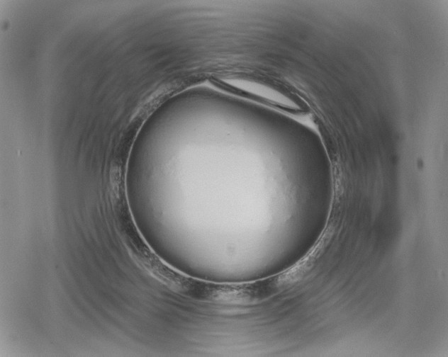 X0000078830171200611271306