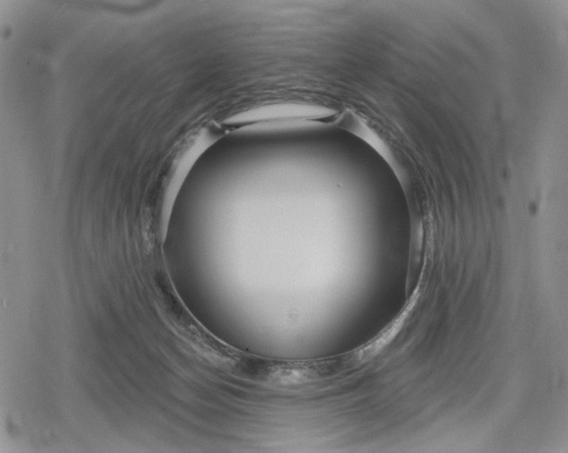 X0000078830174200611271306