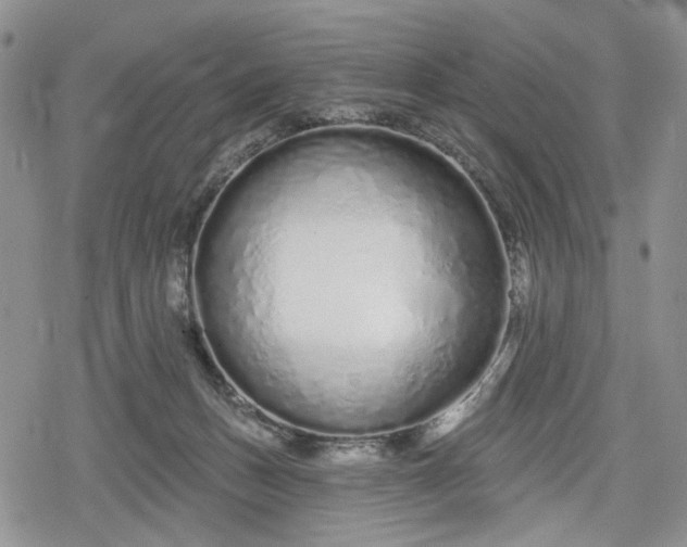 X0000078830175200611271306