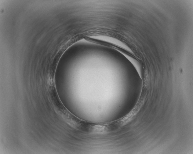 X0000078830176200611271306