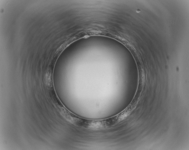 X0000078830177200611271306