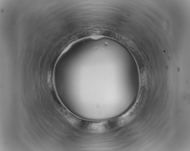 X0000078830178200611271306